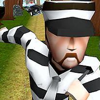 Prison Run